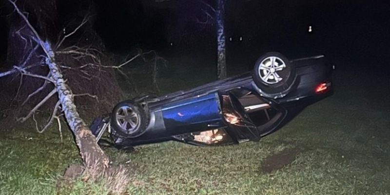 POL-PDNW: Pkw landet an Baum - Foto: presseportal.de