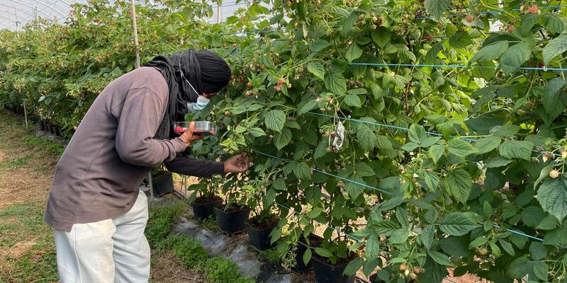 Die befreiten Migranten wurden laut Polizei oft geschlagen. - Foto: -/Portugiesische Kriminalpolizei Polícia Judiciária PJ/dpa