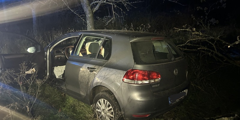 POL-PDLD: Edenkoben - Alkoholisiert aus dem Staub gemacht - Foto: presseportal.de
