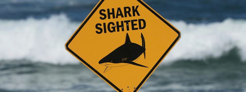 Die Strände in der Region um Crowdy Bay bleiben nach dem tödlichen Angriff auf eine Schweizerin zunächst weiter gesperrt. (Archivbild) - Foto: Mark Baker/AP/dpa