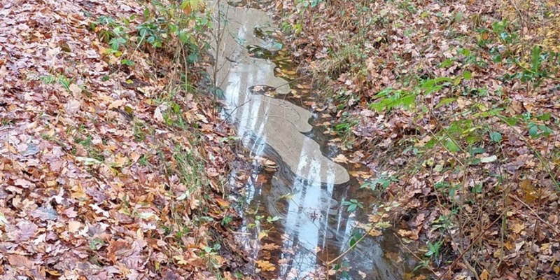POL-OL: Ölverunreinigung in Wiefelstede-Metjendorf - Aufwendige Sanierungsarbeiten erforderlich - Foto: presseportal.de