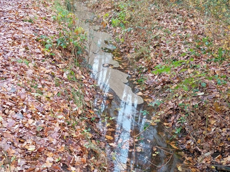 POL-OL: Ölverunreinigung in Wiefelstede-Metjendorf - Aufwendige Sanierungsarbeiten erforderlich - Foto: presseportal.de
