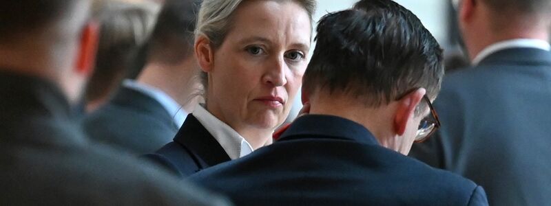 AfD-Chefin Weidel warnt vor Gewalt gegen AfD-Mitglieder. - Foto: Elisa Schu/dpa