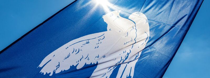 Der Wunsch nach Frieden im Krieg zwischen Russland und der Ukraine kommt von vielen Seiten - doch über den Weg dahin gibt es sehr unterschiedliche Vorstellungen. (Archivbild) - Foto: Frank Hammerschmidt/dpa