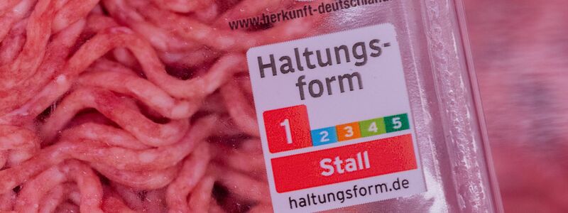 Das neue Logo soll im Supermarkt zeigen, wie die Tiere gehalten wurden. (Symbolbild) - Foto: Rolf Vennenbernd/dpa