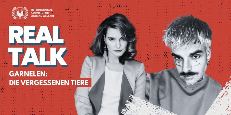 Influencer an Aldi: Stoppt das Augenabschneiden, Stoppt das Ersticken / Prominente konfrontieren den Discounter mit Tierquälerei in Garnelen-Lieferkette - Foto: presseportal.de