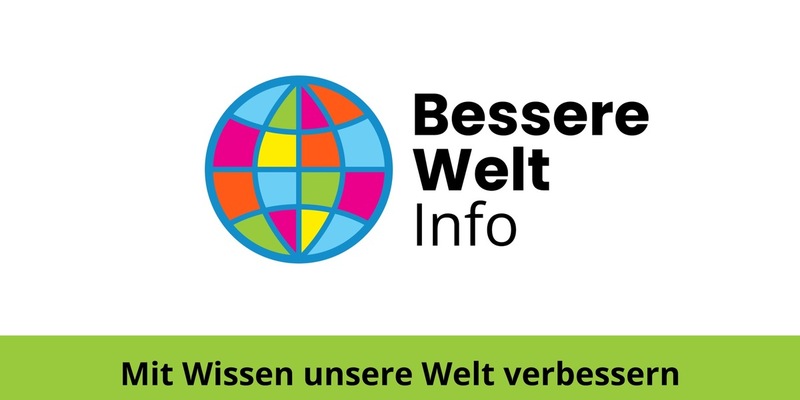Plattform und Ratgeber zum Schulstreik gegen die Wehrpflicht am 5. Dezember - Foto: presseportal.de