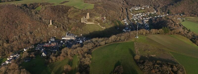 In einem Waldgebiet bei Monreal wurde die Leiche gefunden. - Foto: Sascha Ditscher/dpa