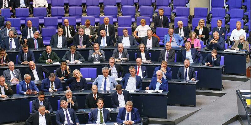 AfD-Fraktion (Archiv) - Foto: über dts Nachrichtenagentur