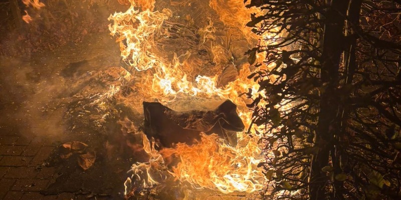 FW Neumünster: Mehrere Mülltonnen brennen in der Neumünsteraner Innenstadt - Foto: presseportal.de