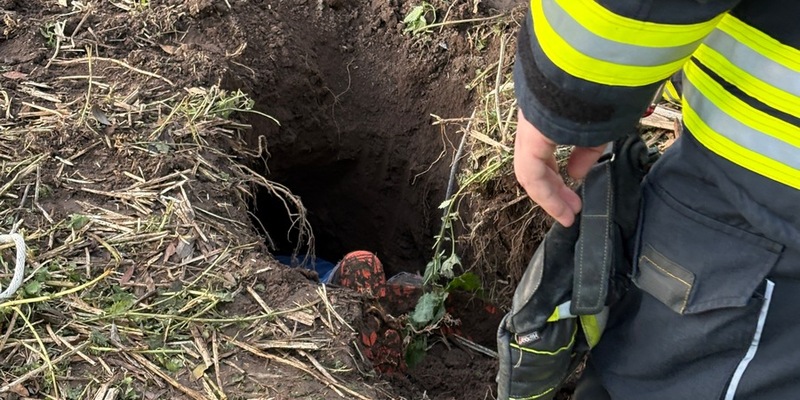 FW Beverungen: Schaf in Notlage / Feuerwehr Beverungen rettet Tier aus rund drei Meter tiefem Loch - Foto: presseportal.de