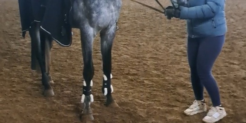 POL-IZ: 251202.2 Kellinghusen: 22-Jährige vermisst - Foto: presseportal.de