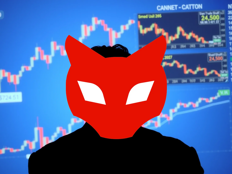 Red Cat Aktie: Notfall-Umbau! - Foto: über boerse-global.de