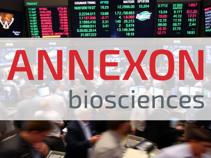 Annexon Aktie: Explosiver Analysten-Optimismus! - Foto: über boerse-global.de
