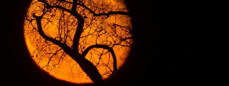 Nach dem kommenden Supermond findet der nächste in einem Jahr statt. (Archivbild) - Foto: Patrick Pleul/dpa