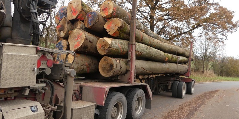 POL-OH: Fast 10 Tonnen zu schwer: Autobahnpolizei zieht überladenen Holztransport aus dem Verkehr - Foto: presseportal.de