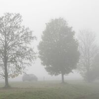Das Wetter wird zwar zum Wochenende milder, aber es bleibt vielerorts glatt. (Symbolbild) - Foto: Stefan Puchner/dpa