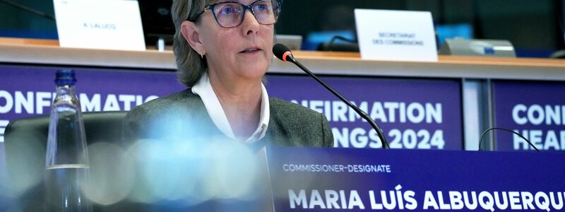 «Zu lange hat Europa eine Zersplitterung toleriert», sagt die zuständige EU-Kommissarin Maria Luis Albuquerque. - Foto: Virginia Mayo/AP/dpa