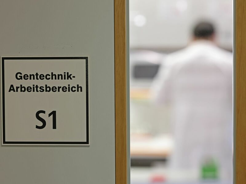 Befürworter erhoffen sich Obst- und Gemüsesorten, die ertragreicher, resistenter gegen den Klimawandel und nährstoffreicher sind. - Foto: Matthias Bein/dpa