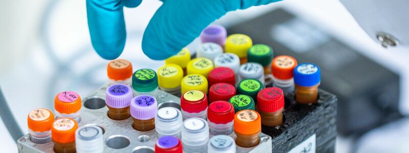 Künftig sollen auch Patente für gentechnisch veränderte Pflanzen möglich sein. - Foto: Jens Büttner/dpa