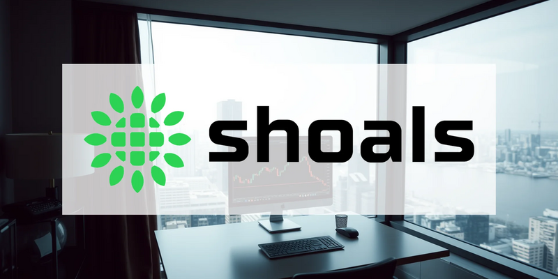 Shoals Technologies: A Market Puzzle of Strong Fundamentals and Weak Share Performance - Foto: über boerse-global.de