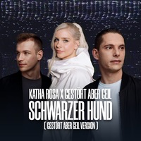 Katha Rosa x Gestört aber GeiL präsentieren neue Version von Schwarzer Hund - Foto: presseportal.de