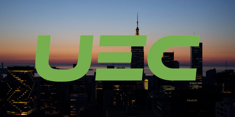 Uranium Energy: Un Inicio de Ejercicio Fiscal Marcado por la Volatilidad y las Apuestas Institucionales - Foto: über boerse-global.de