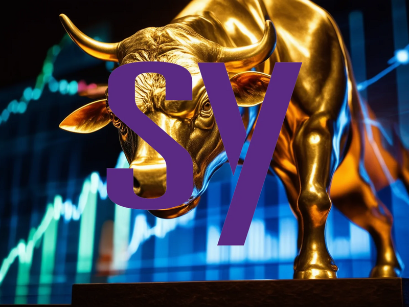 Synopsys Aktie: Spannende Gewinnperspektiven! - Foto: über boerse-global.de