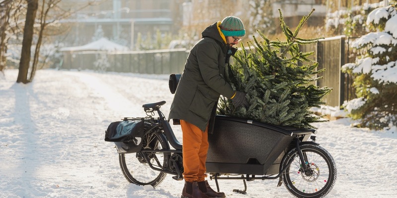 Kurze Wege, große Wirkung / Wie echte Weihnachtsbäume Umweltschutz und Tradition verbinden - Foto: presseportal.de