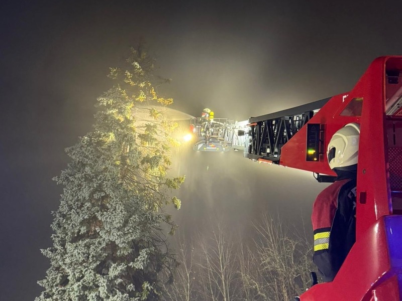 FW Allensbach: B1 Baum - Foto: presseportal.de