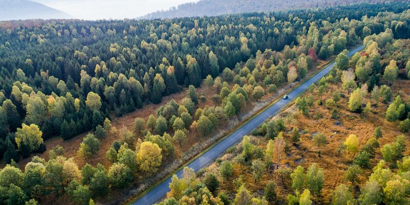 Die Forschenden empfehlen verschiedene Varianten, um das Klima zu schützen. (Symbolbild) - Foto: Swen Pförtner/dpa