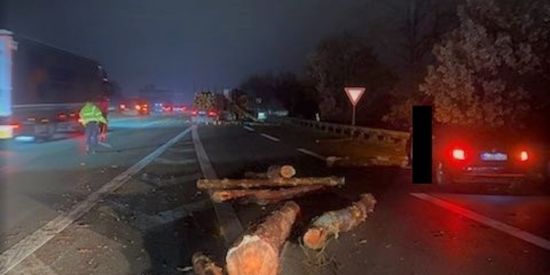 POL-WL: Baumstämme blockierten Fahrbahn - Foto: presseportal.de