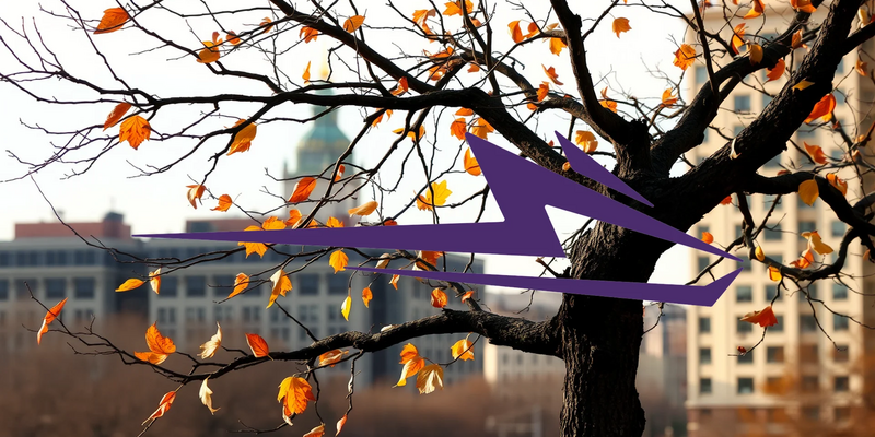 Wolfspeed: La consolidación de su recuperación gana impulso con un socio clave - Foto: über boerse-global.de