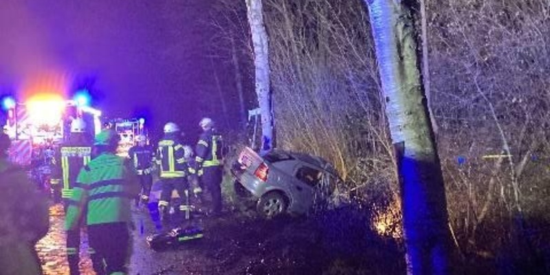 POL-CUX: Tödlicher Verkehrsunfall auf der Landesstraße 118 in Neuenkirchen (Foto im Anhang) - Foto: presseportal.de