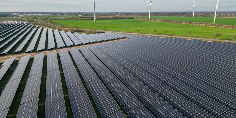 Erneuerbare Energien werden in diesem Jahr laut einer Hochrechnung knapp 56 Prozent des Stromverbrauchs decken. (Symbolbild) - Foto: Jan Woitas/dpa