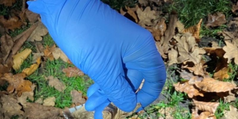 POL-OS: Osnabrück/Innenstadt - Folgekontrollen im Schlossgarten: Polizei setzt Maßnahmen gegen Drogenhandel fort - Foto: presseportal.de