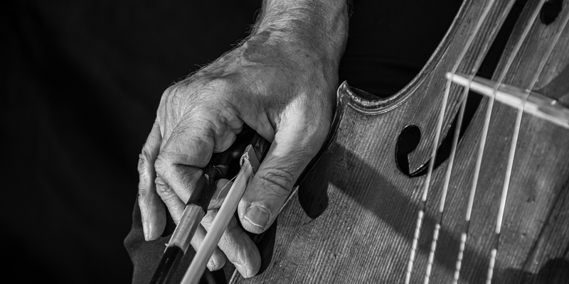 cello-7397745.jpg - Foto: THN