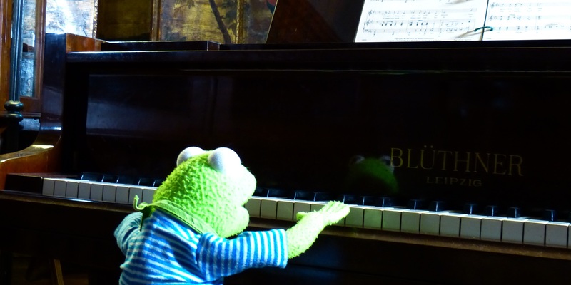 kermit-510012.jpg - Foto: THN