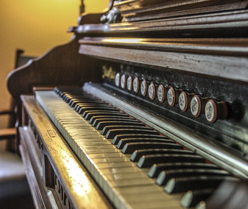 kunst, Gabriel Orozco, kultur - Foto: THN