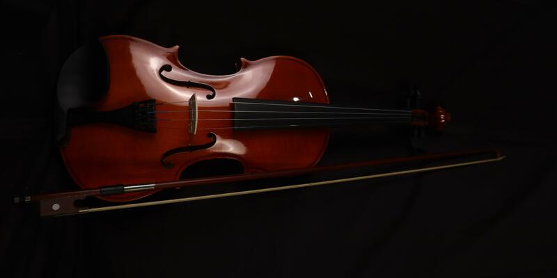 violin-6771249.jpg - Foto: THN