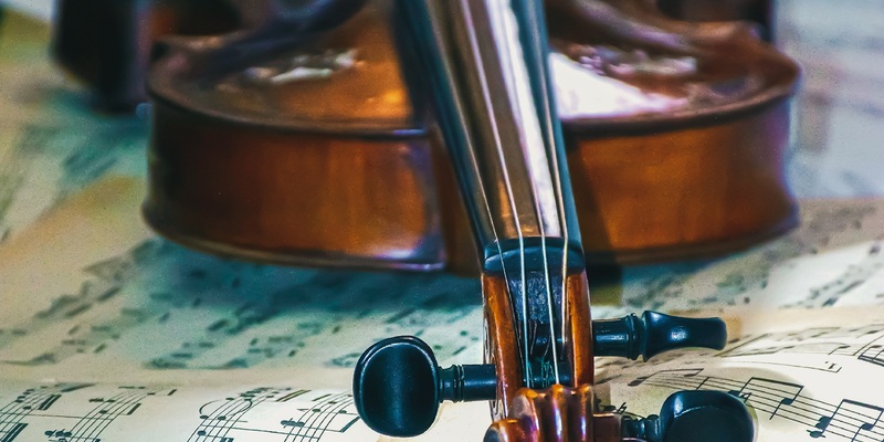 violin-7775184.jpg - Foto: THN