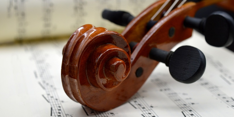 violin-8439018.jpg - Foto: THN