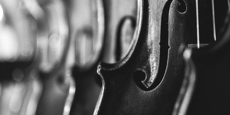 violins-1868064.jpg - Foto: THN