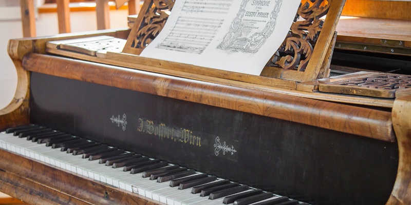 wing-3721684.jpg - Foto: THN