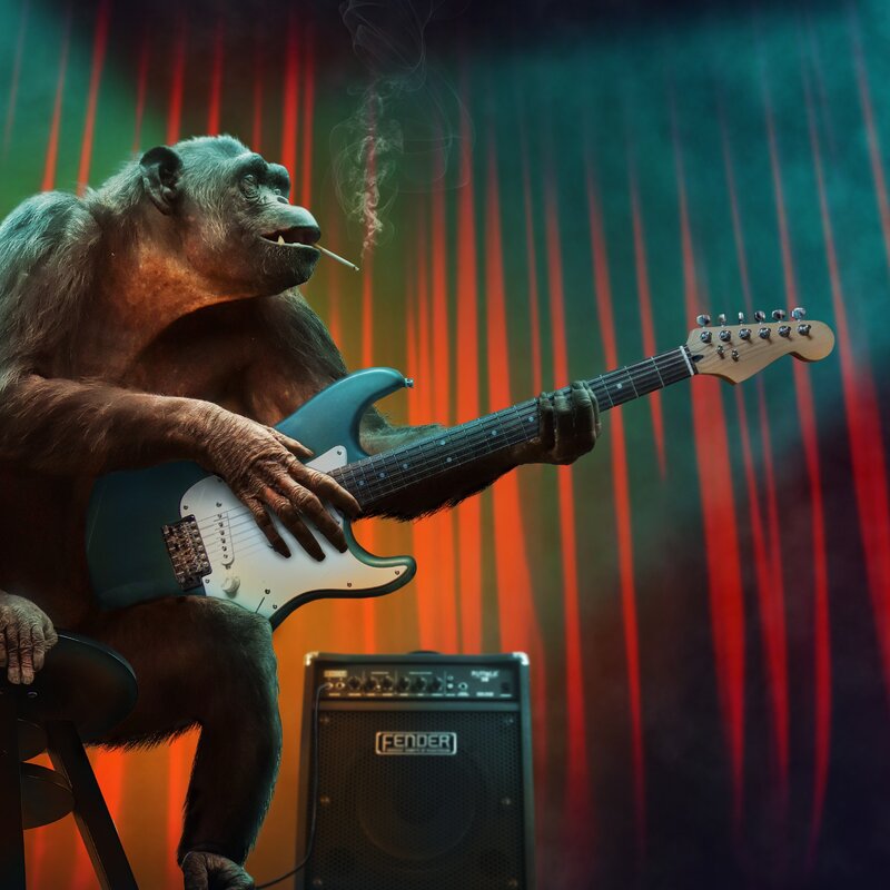 American, Express, Gold, Card, Reality-Check, Statussymbol, Daily-Driver, Rechnungen, Geld, Punkte - Foto: THN