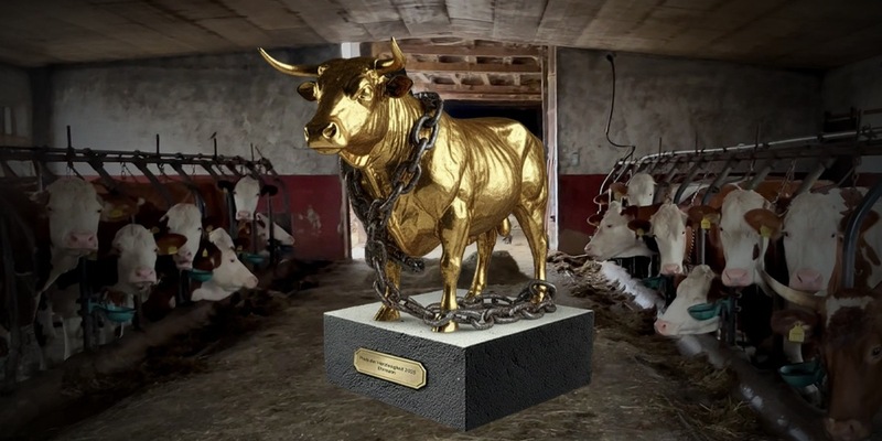 Preis der Herzlosigkeit 2025 geht an den Molkereikonzern Ehrmann - Undercover-Aufnahmen zeigen gravierende Missstände in Zulieferbetrieben - Foto: presseportal.de