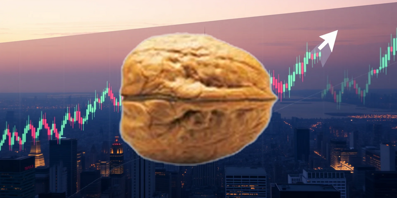 PSI Software Aktie: Letzte Tage an der Börse - Foto: über boerse-global.de