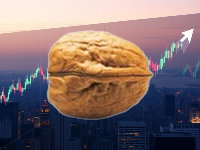 PSI Software Aktie: Letzte Tage an der Börse - Foto: über boerse-global.de