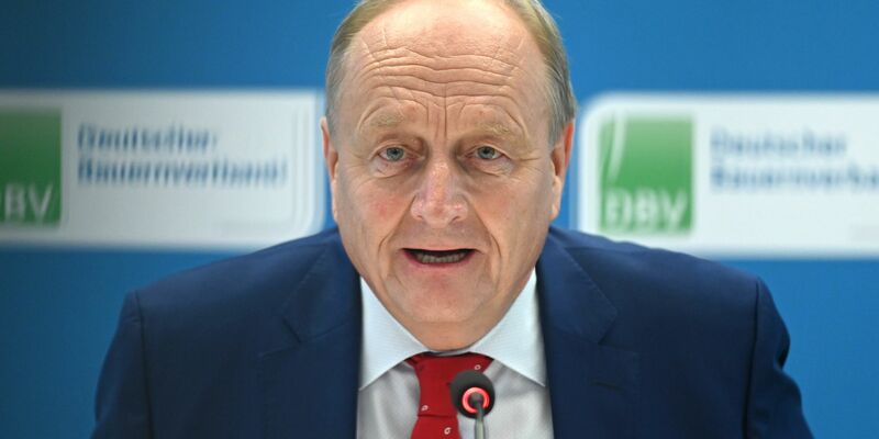 Bauernpräsident Joachim Rukwied sagte in Berlin: «Der Motor stottert weiter.» - Foto: Elisa Schu/dpa