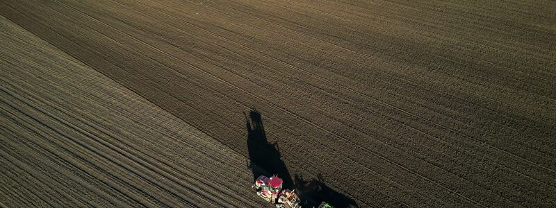 Die Bauern befürchten schwierige Geschäftsbedingungen 2026. (Archivbild)  - Foto: Jan Woitas/dpa